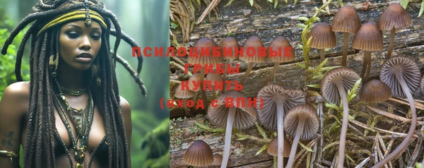 ешки Белоозёрский