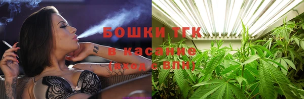 mdpv Белокуриха